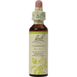 Nelson Bach Clematis Flower Essence 20 ml CLEMA
